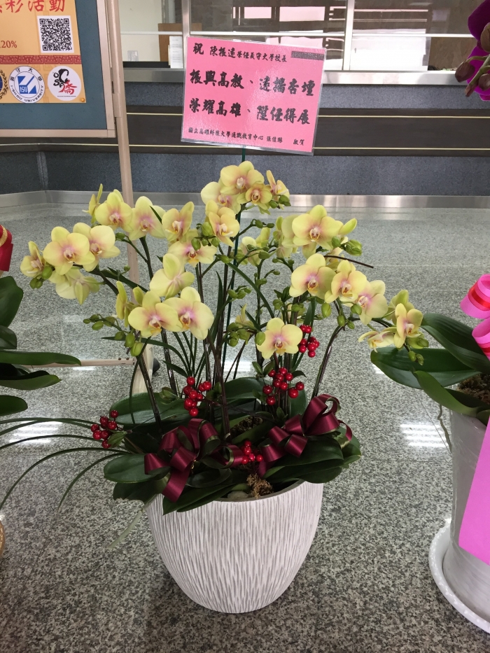 五福臨門 花店/草屯花店