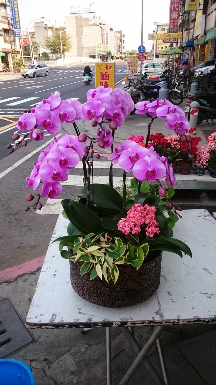 駿業興隆 花店/佳里花店