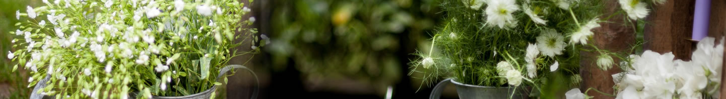 花店網路花店,線上花店.高雄花店.楠梓花店.小港花店,鳳山花店